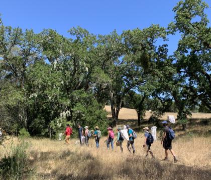 Students catching insects