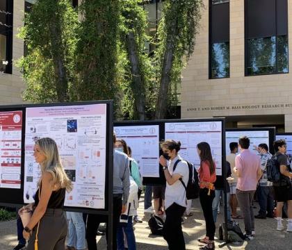 Picture includes students presenting their research posters on black tackboards. Guest surround presenters. 