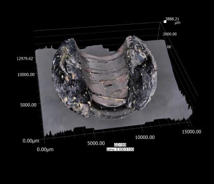 Digital scan of artifact with scale measurements