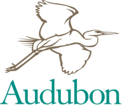 Decorative image for: Schneider Summer Fellowships: Audubon