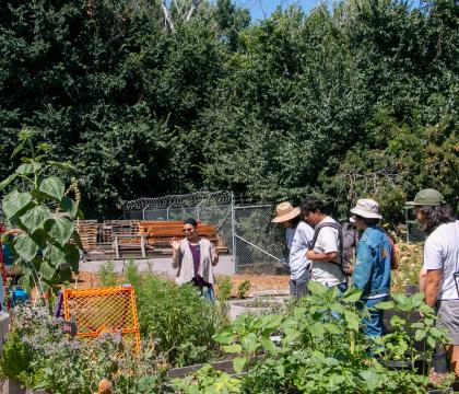 Summer 2023 Fellows during a field trip to Valley Verde's urban garden in San Jose