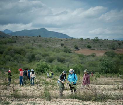 Image of Global Seminar.