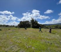 Researchers in the serpentine grasslands at Jasper Ridge Biological Preserve