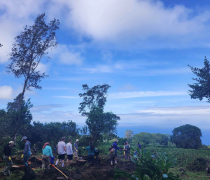 Archaeology students at a dig site on a hilltop amongst tropical trees and plants, with the ocean and sky in the background.