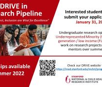 DRIVE in Research Pipeline