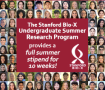 The Bio-X USRP awards eligible Stanford Students a summer stipend for 10 weeks of full-time research!